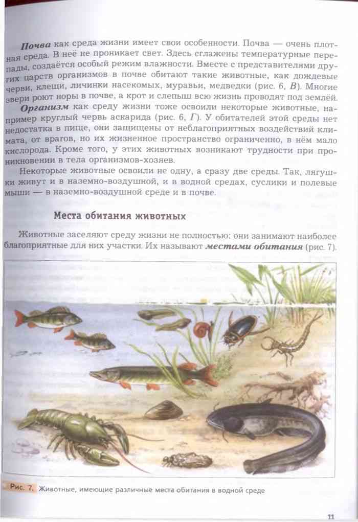 Учебник Биология 7 класс Константинов Бабенко читать онлайн